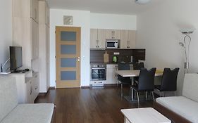 Apartment Medvedin 87